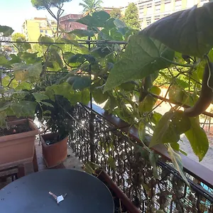 Bed & Breakfast La Fontana Di Carlotta, Roma